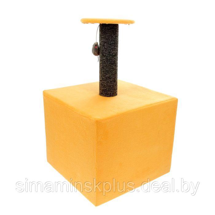 Когтеточка "Столбик", куб с площадкой, 35 х 30 х 85 см, микс цветов - фото 3 - id-p206455858