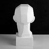 Гипсовая фигура анатомическая: обрубовка головы по Гудону, 35,5 х 20,5 х 24 см, фото 4