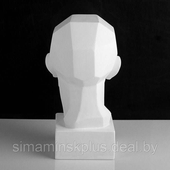 Гипсовая фигура анатомическая: обрубовка головы по Гудону, 35,5 х 20,5 х 24 см - фото 4 - id-p206456135