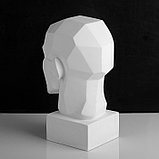 Гипсовая фигура анатомическая: обрубовка головы по Гудону, 35,5 х 20,5 х 24 см, фото 5