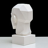 Гипсовая фигура анатомическая: обрубовка головы по Гудону, 35,5 х 20,5 х 24 см, фото 6