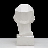 Гипсовая фигура анатомическая: обрубовка головы по Гудону, 35,5 х 20,5 х 24 см, фото 7
