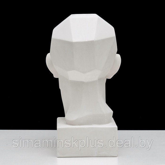 Гипсовая фигура анатомическая: обрубовка головы по Гудону, 35,5 х 20,5 х 24 см - фото 7 - id-p206456135