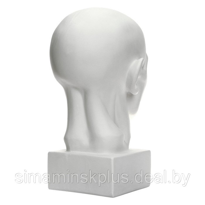 Гипсовая фигура анатомическая: Голова по Гудону, 22 х 22 х 48 см - фото 3 - id-p206456140