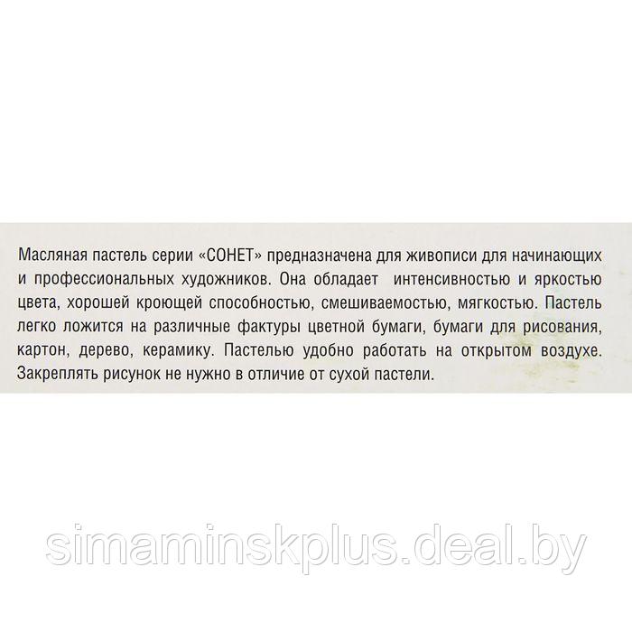 Пастель масляная ЗХК "Сонет", 36 цветов, 9/59 мм, круглая, 7041157 - фото 2 - id-p206456149