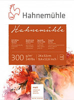 Бумага акварельная Hahnemuhle 300, 300 г/м, 100% целлюлоза, холодный пресс, склейка, 24 x 32 см, 10 листов