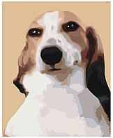 Картина по номерам Собака Мем 40 x 50 | MEM-19 | SLAVINA