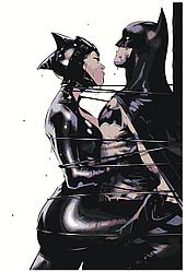 Живопись по номерам Бэтмен и Женщина-кошка 40 x 60 | IIIR-p-259 | SLAVINA