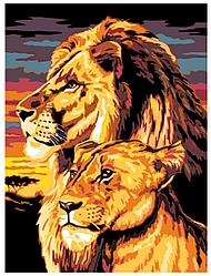 Картина по номерам Лев и львица 30 x 40 | A44 | SLAVINA