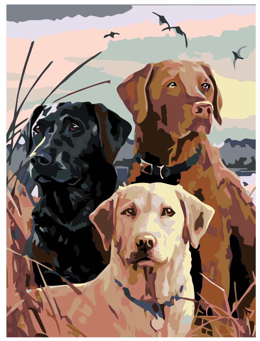 Живопись по номерам Три собаки 30 x 40 | A02 | SLAVINA