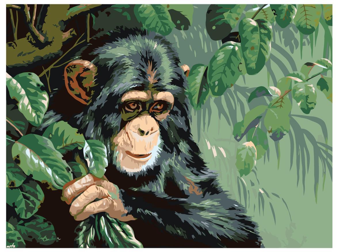 Картина по номерам Шимпанзе 30 x 40 | RA013 | SLAVINA