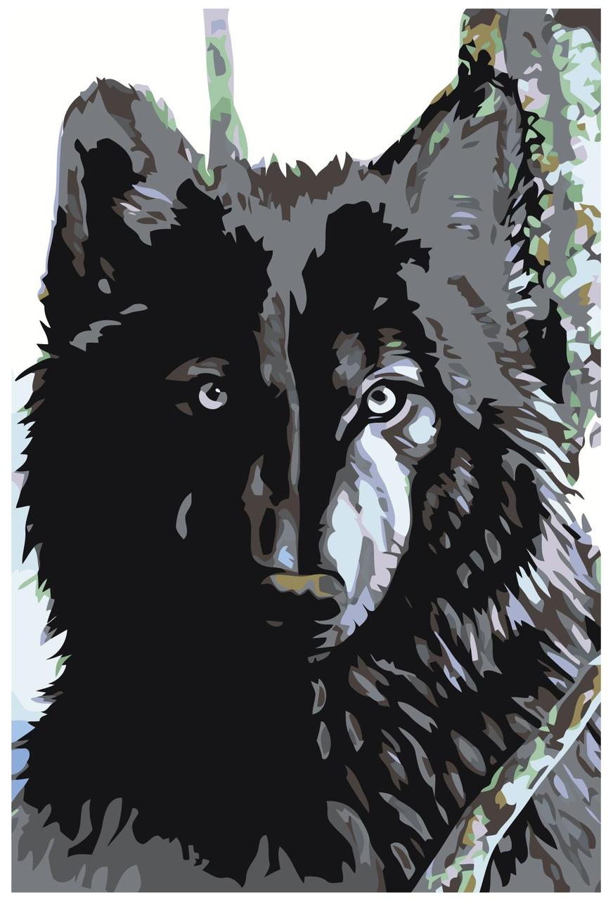 Картина по номерам Черный волк 40 x 60 | A73 | SLAVINA - фото 1 - id-p206626287