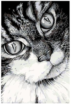 Картина по номерам Черно-белый кот 40 x 60 | A208 | SLAVINA, фото 2