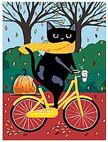 Картина по номерам Кот на велосипеде с тыквой 30 x 40 | A318 | SLAVINA