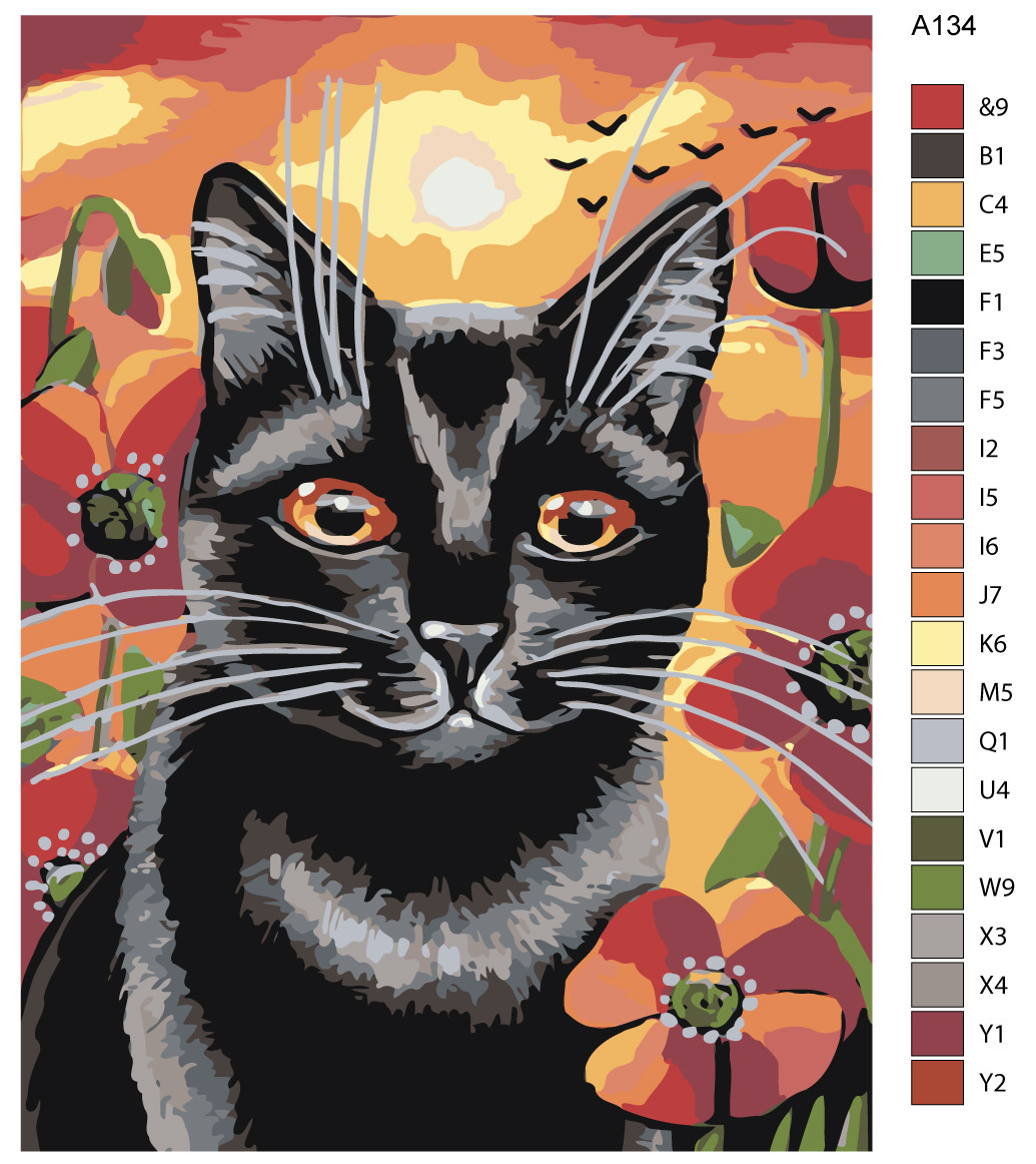 Картина по номерам Черный кот в маках 30 x 40 | A134 | SLAVINA - фото 2 - id-p206627374