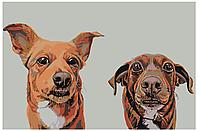 Картина по номерам Два щенка 40 x 60 | A304 | SLAVINA