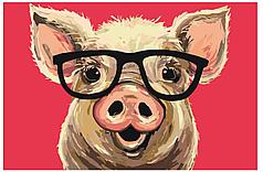 Живопись по номерам Свинка в очках 40 x 60 | A406 | SLAVINA