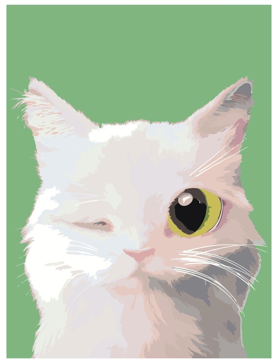 Раскраска по номерам Подмигивающий котенок 30 x 40 | A553 | SLAVINA