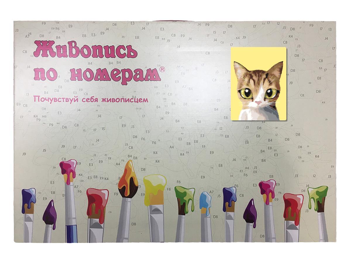 Раскраска по номерам Милый котенок 30 x 40 | A554 | SLAVINA - фото 3 - id-p206627485