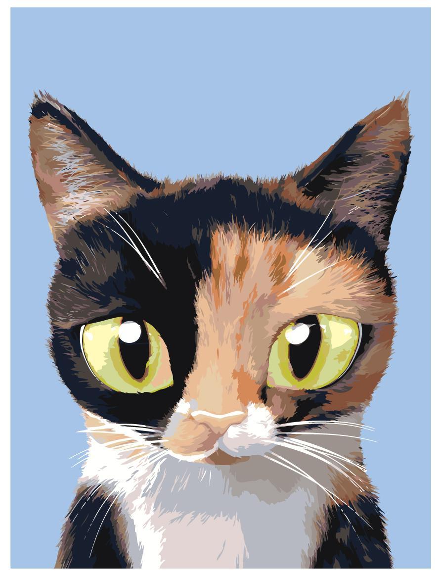 Картина по номерам Милый котенок 30 x 40 | A555 | SLAVINA