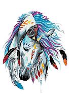 Картина по номерам Индейский конь 40 x 60 | PA124 | SLAVINA