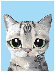 Картина по номерам Грустный котенок 30 x 40 | A572 | SLAVINA