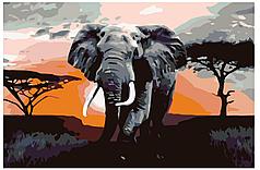 Картина по номерам Слон на закате 40 x 60 | KTMK-Elephant | SLAVINA