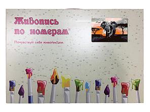 Картина по номерам Слон на закате 40 x 60 | KTMK-Elephant | SLAVINA, фото 2
