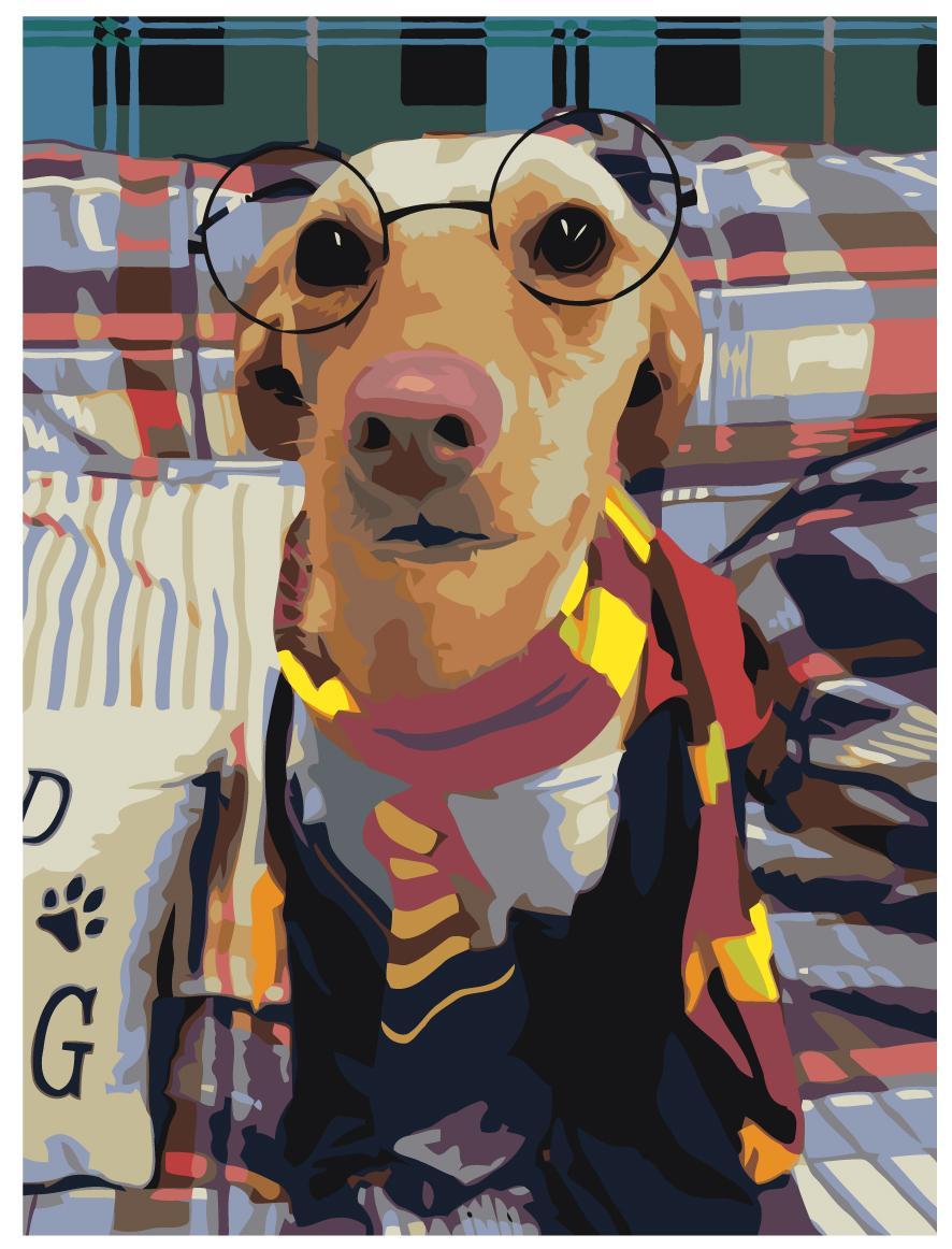 Рисование по номерам Собака в очках Гарри Поттера 30 x 40 | ETS340-3040 | SLAVINA - фото 1 - id-p206627547