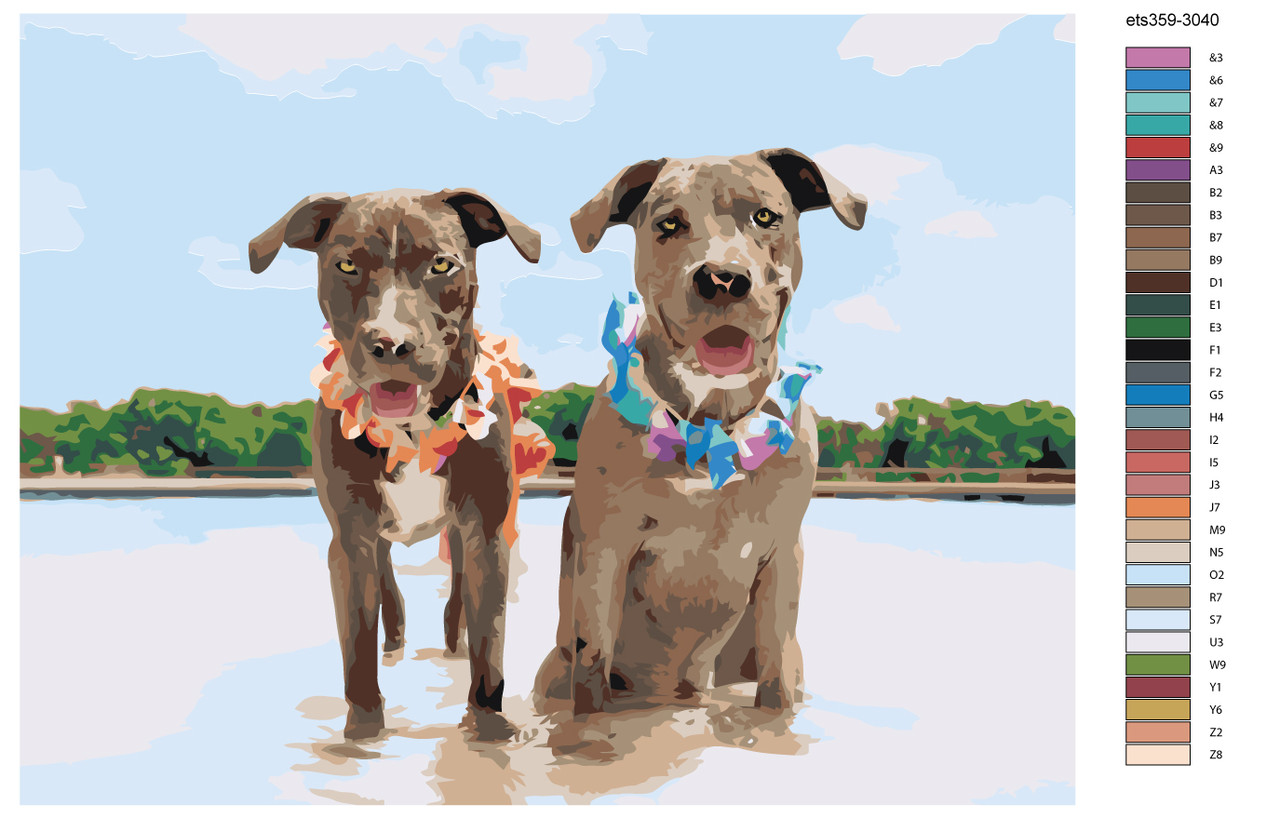 Картина по номерам Две собаки на пляже 30 x 40 | ets359-3040 | SLAVINA - фото 2 - id-p206627551