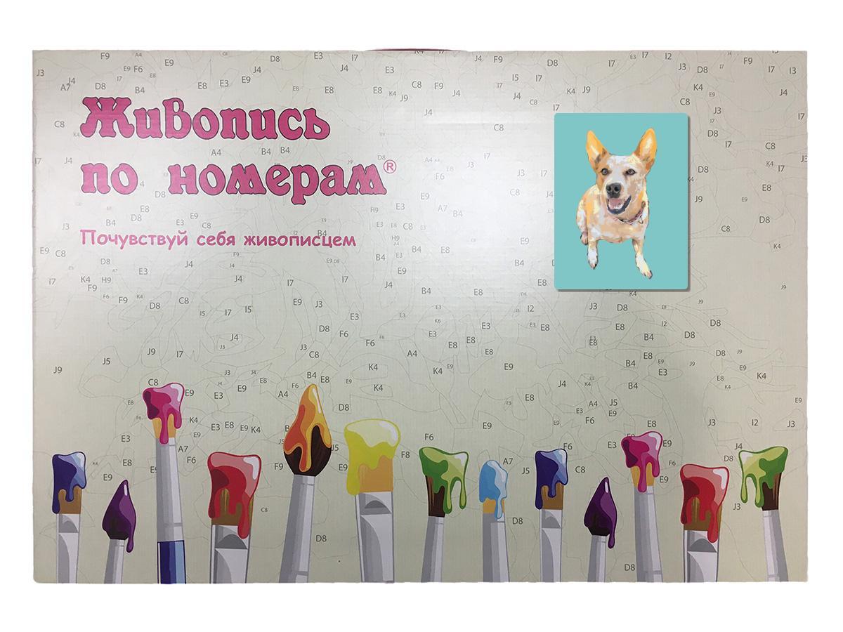 Раскраска по номерам Корги Собака 30 x 40 | ets454-3-3040 | SLAVINA - фото 3 - id-p206627557