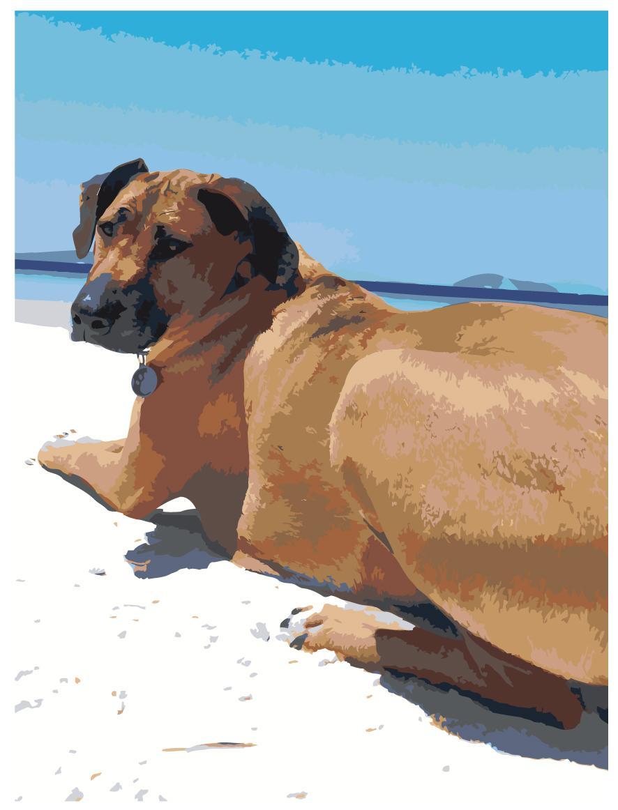 Живопись по номерам Собака на пляже 30 x 40 | ets506-30401 | SLAVINA - фото 1 - id-p206627570