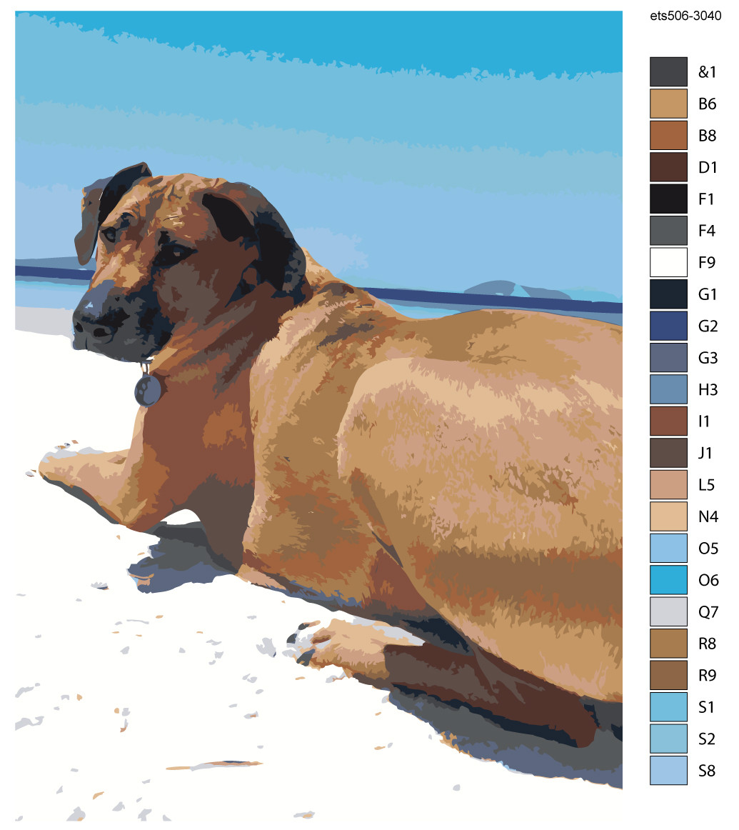 Живопись по номерам Собака на пляже 30 x 40 | ets506-30401 | SLAVINA - фото 2 - id-p206627570