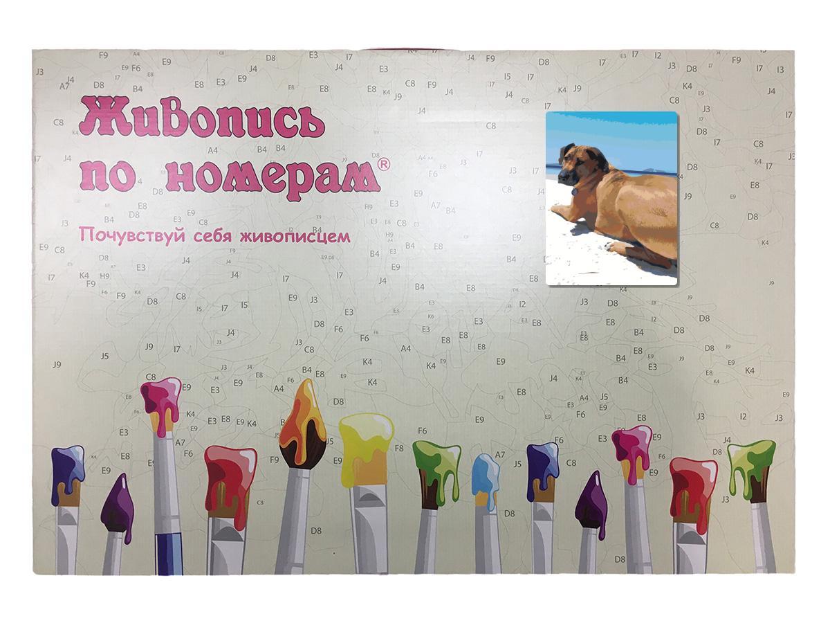 Живопись по номерам Собака на пляже 30 x 40 | ets506-30401 | SLAVINA - фото 3 - id-p206627570