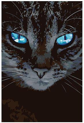 Картина по номерам Кот с голубыми глазами 40 x 60 | A452 | SLAVINA, фото 2