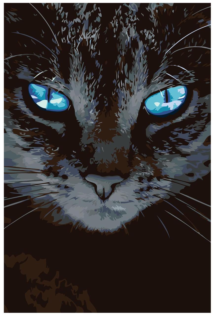 Картина по номерам Кот с голубыми глазами 40 x 60 | A452 | SLAVINA - фото 1 - id-p206626534