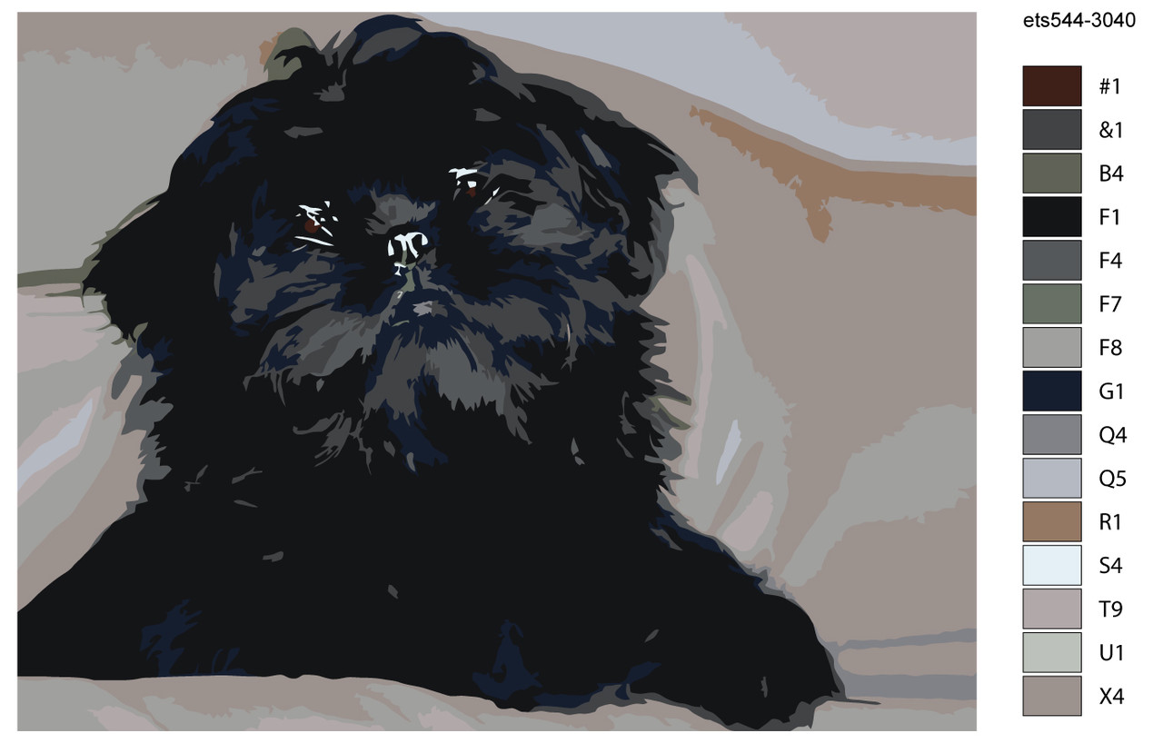 Раскраска по номерам Бельгийский гриффон Собака 30 x 40 | ets544-3040 | SLAVINA - фото 2 - id-p206627580