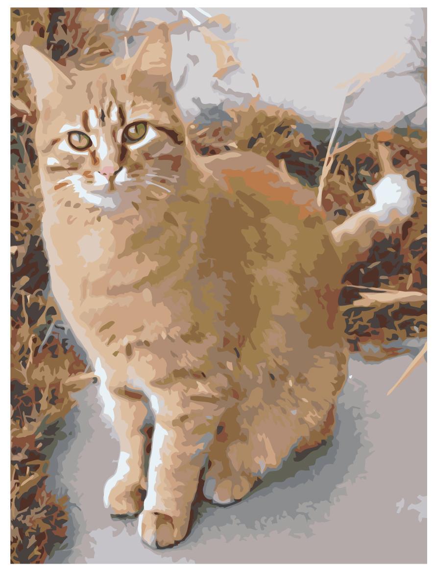 Раскраска по номерам Рыжий кот 30 x 40 | ets544-5-30401 | SLAVINA - фото 1 - id-p206627581
