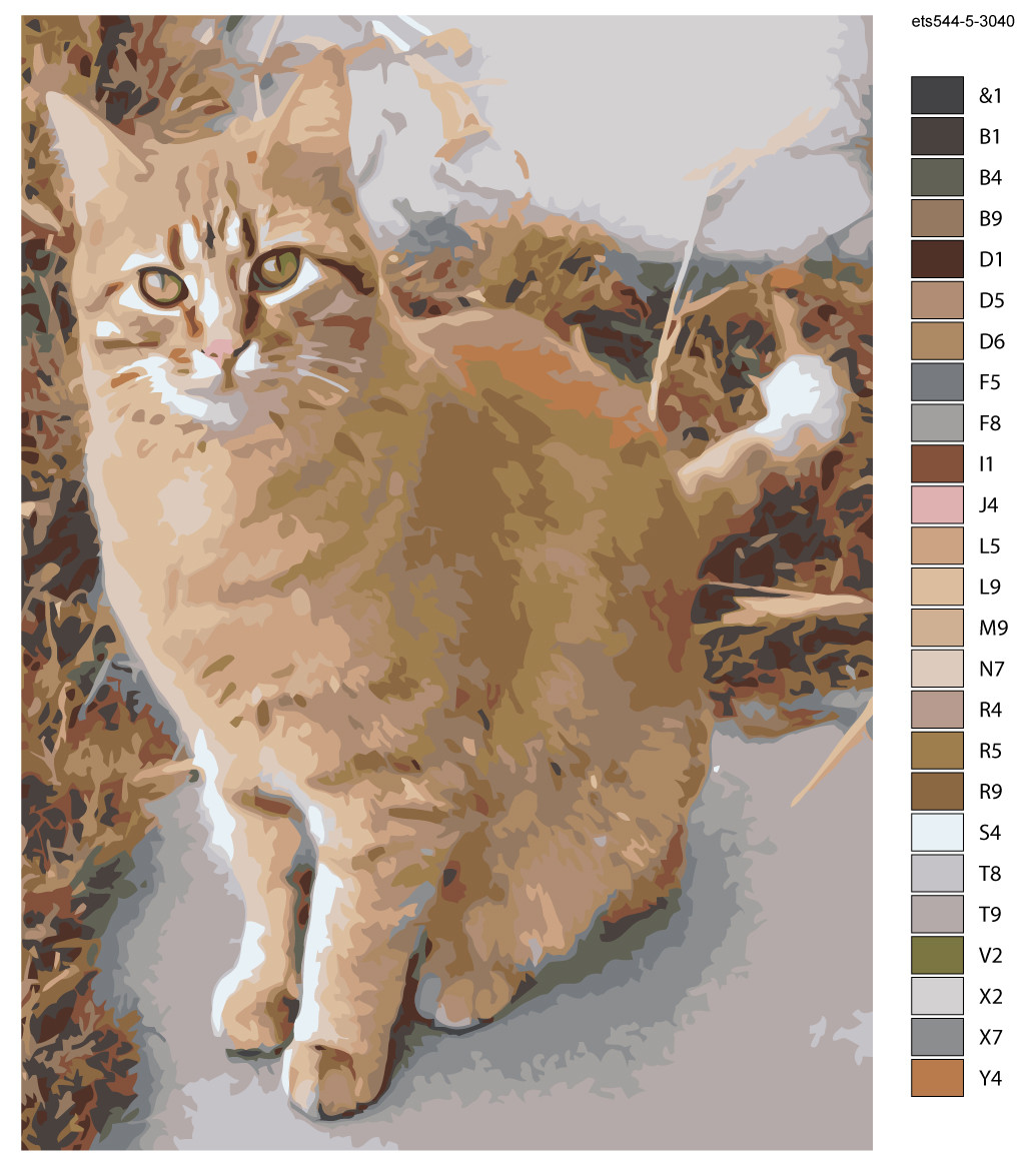 Раскраска по номерам Рыжий кот 30 x 40 | ets544-5-30401 | SLAVINA - фото 2 - id-p206627581