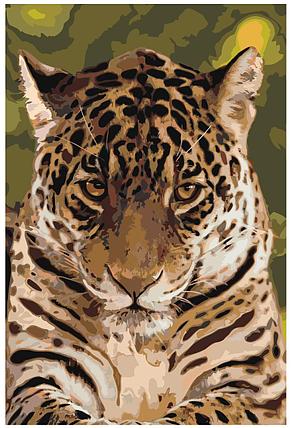 Картина по номерам Леопард 40 x 60 | Z-AB26 | SLAVINA, фото 2