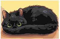 Картина по номерам Черный котенок 40 x 60 | Z-AB149 | SLAVINA
