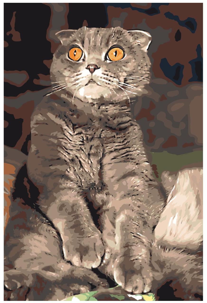 Картина по номерам Удивленный кот 40 x 60 | Z5700 | SLAVINA