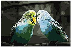 Картина по номерам Волнистые попугайчики 40 x 60 | KTMK-birds012 | SLAVINA