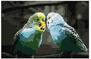 Картина по номерам Волнистые попугайчики 40 x 60 | KTMK-birds012 | SLAVINA, фото 2