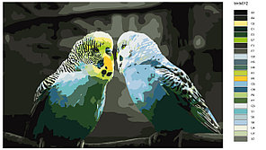 Картина по номерам Волнистые попугайчики 40 x 60 | KTMK-birds012 | SLAVINA, фото 2