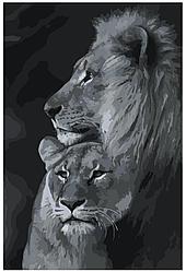 Картина по номерам Лев и львица 40 x 60 | Z-NA20 | SLAVINA