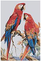 Картина по номерам Два попугая 40 x 60 | Z-NA123 | SLAVINA