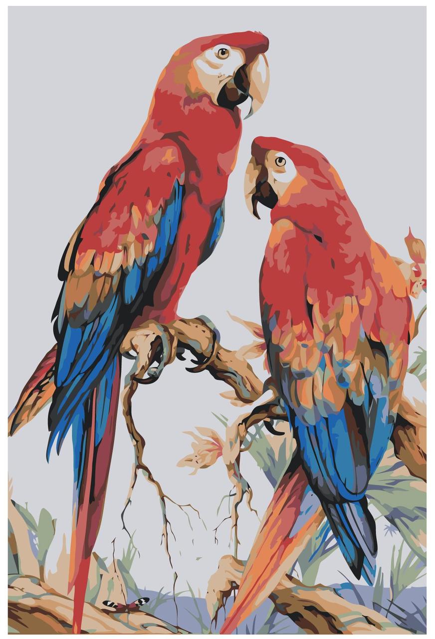 Картина по номерам Два попугая 40 x 60 | Z-NA123 | SLAVINA - фото 1 - id-p206627092