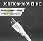 Портативный светодиодный USB светильник на гибком шнуре 29 см. / Гибкая лампа, фото 10