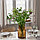 IKEA/ КОНСТФУЛЛ ваза, 26 см, с рисунком/коричневый, фото 5